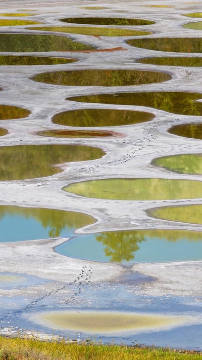 Spotted Lake in the Okanagan region of British Columbia, Canada (© Galyna Andrushko/Shutterstock) mobile wallpaper