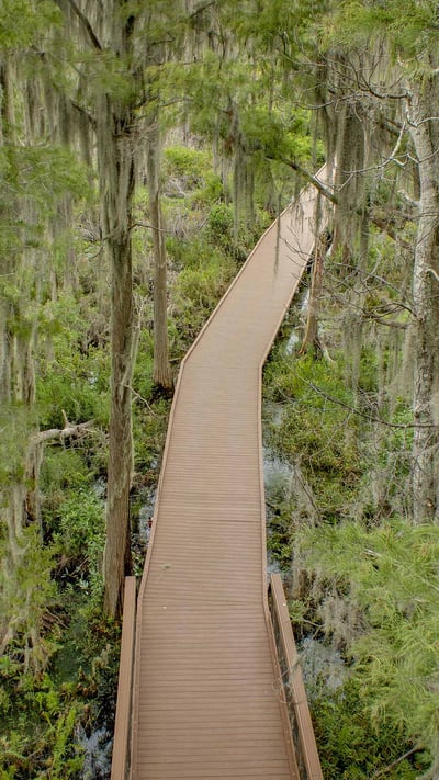 Trees with Spanish moss over a boardwalk in the Okefenokee Swamp, Folkston, Georgia (© Emmer Photo/Alamy) mobile wallpaper