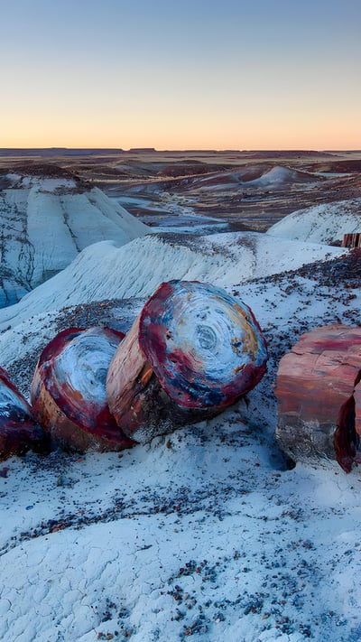 Petrified Forest National Park, Arizona (© Ian Shive/Tandem Stills + Motion) mobile wallpaper