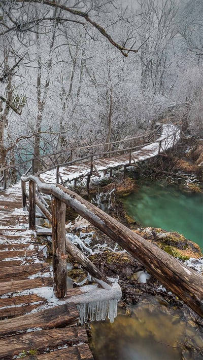 Elevated path in Plitvice Lakes National Park, Croatia (© Alessandro Laporta/Offset by Shutterstock) mobile wallpaper