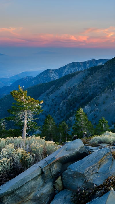 Summit of Pine Mountain, Angeles National Forest, California (© Matthew Kuhns/TANDEM Stills + Motion) mobile wallpaper