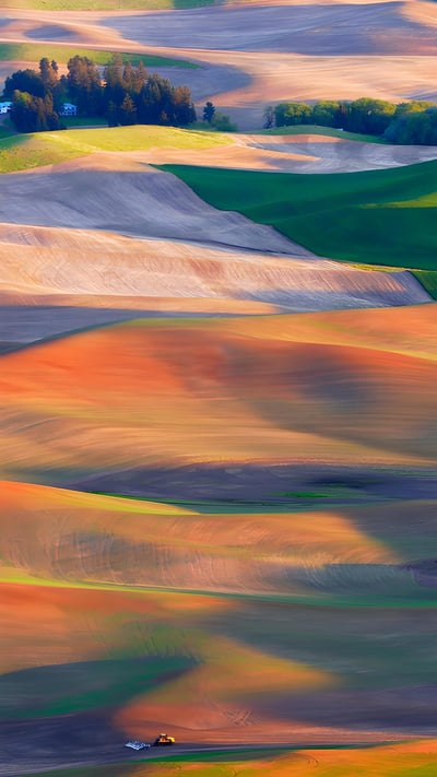 Farmland in the Palouse, Washington (© EJ-J/Getty Images) mobile wallpaper