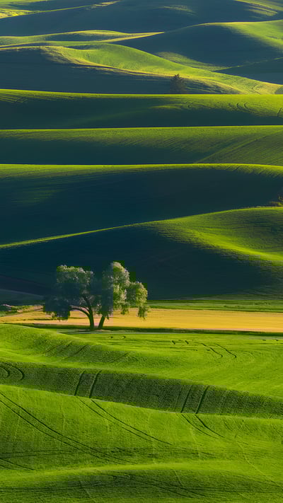 Rolling hills of the Palouse, Washington (© svetlana57/Getty Images) mobile wallpaper