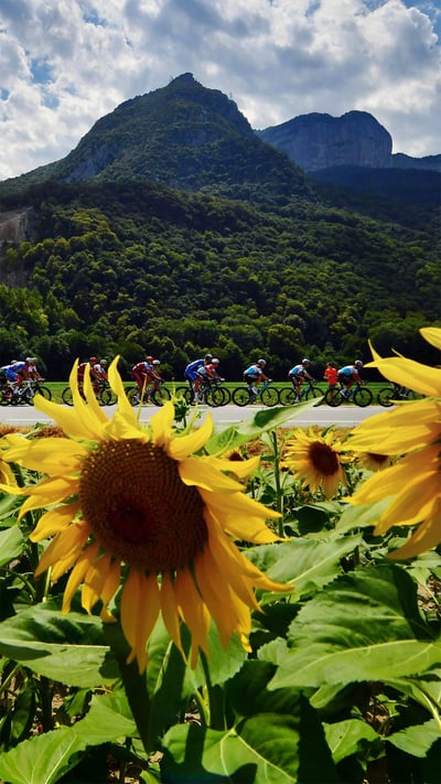 Peloton during the 2018 Tour de France in Valence, France (© Justin Setterfield/Getty Images) mobile wallpaper