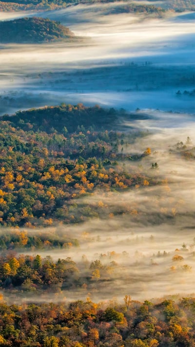 View of Pisgah National Forest near Brevard, North Carolina (© Adam Jones/Danita Delimont) mobile wallpaper