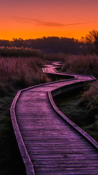 Stairway to Heaven trail in Wawayanda State Park, New Jersey (© Leembe/Getty Images) mobile wallpaper
