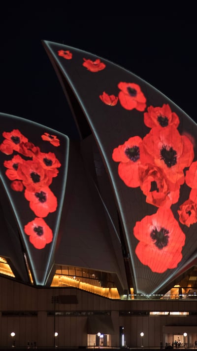 Poppies projected on the Sydney Opera House sails to mark Remembrance Day (© James D. Morgan/Getty Images) mobile wallpaper