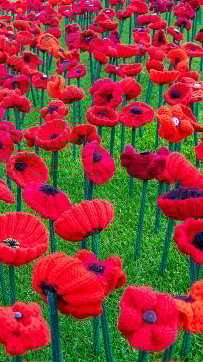2018 Remembrance Day Poppy Project display in Kings Park, Perth (© domonabike/Alamy Stock Photo) mobile wallpaper
