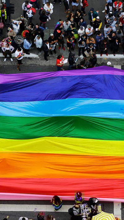 Foliões enchem as ruas segurando uma bandeira gigante do arco-íris durante a parada anual do orgulho LGBT na avenida Paulista (© Nelson Antoine/Shutterstock) mobile wallpaper
