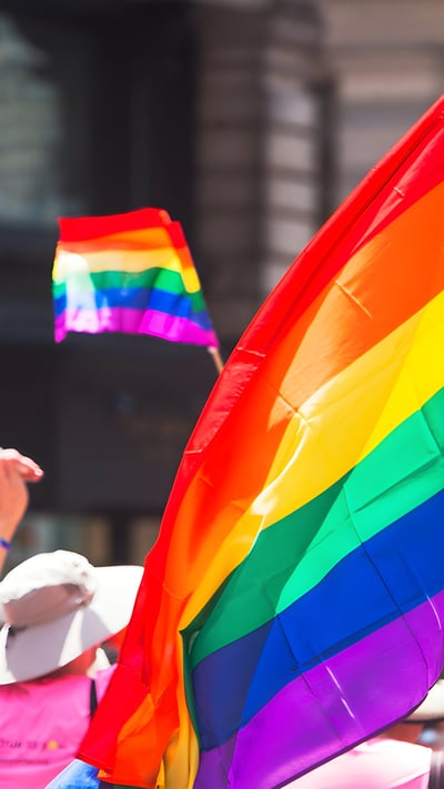 Rainbow flags at New York Pride (© Alan Schein/Getty Images) mobile wallpaper