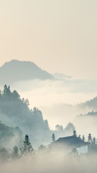【今日清明】( © yangphoto ) mobile wallpaper