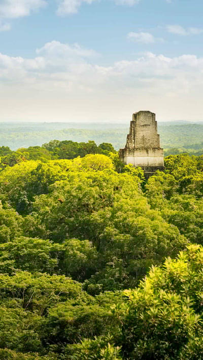 Mayan ruins in Tikal, Guatemala (© THP Creative/Getty Images) mobile wallpaper