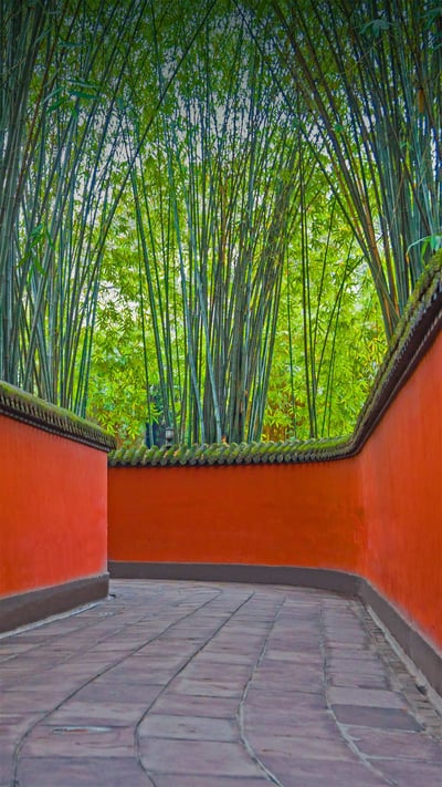 Alley and bamboo grove in Wuhou Temple, Chengdu, Sichuan province, China (© Eastimages/Getty Images) mobile wallpaper