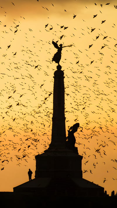 Aberystwyth war memorial, Wales (© ffotocymru/Alamy Stock Photo) mobile wallpaper