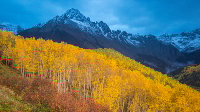 Golden fall glow