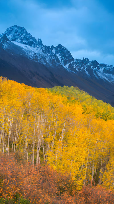 Fall colors below Mount Sneffels near Ridgway, Colorado (© Grant Ordelheide/TANDEM Stills + Motion) mobile wallpaper