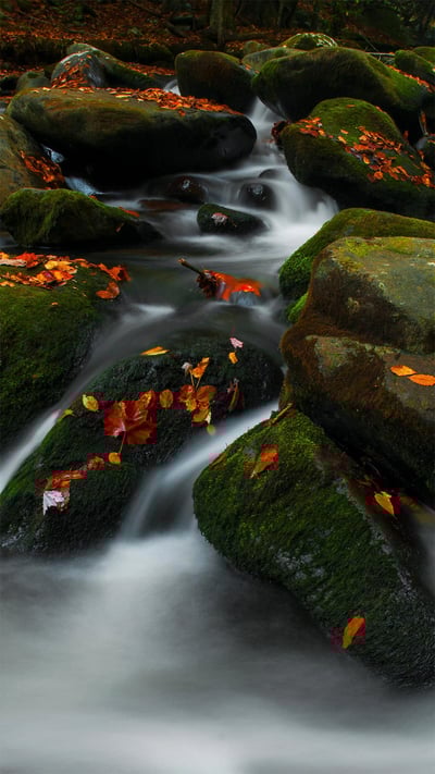 Roaring Fork in Great Smoky Mountains National Park, Tennessee (© Bernie Kasper/Getty Images) mobile wallpaper