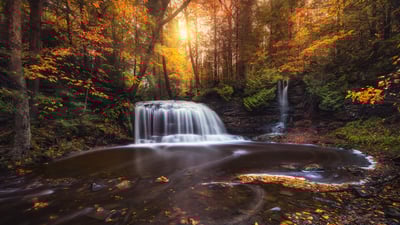 Falling for Michigan