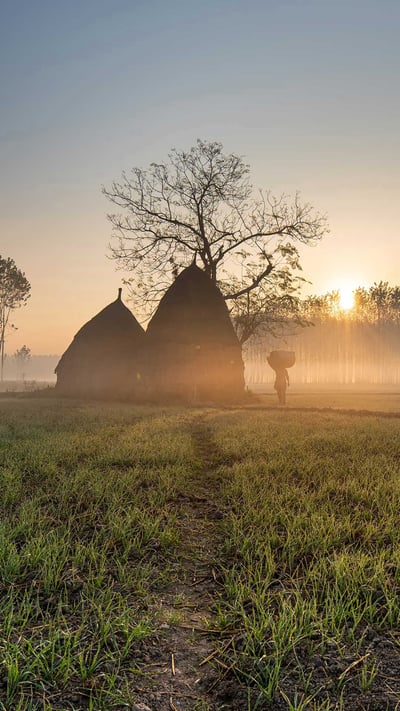 A field with thatched-roof huts, Punjab, India (© Jatin Malhotra/500px/Getty Images) mobile wallpaper