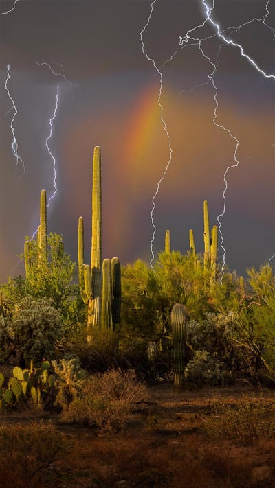 Lightning storm in the Tortolita Mountain foothills, north of Tucson, Arizona, in the Sonoran Desert (© Jack Dykinga/Minden Pictures) mobile wallpaper