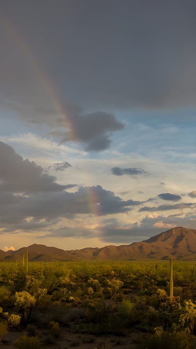 Rainbow over Wasson Peak, Saguaro National Park, Arizona (© Frank Staub/Getty Images) mobile wallpaper