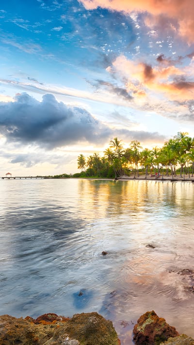 Sunset over Anse Champagne beach in Saint-François, Guadeloupe, Caribbean (© Fyletto/Getty Images) mobile wallpaper