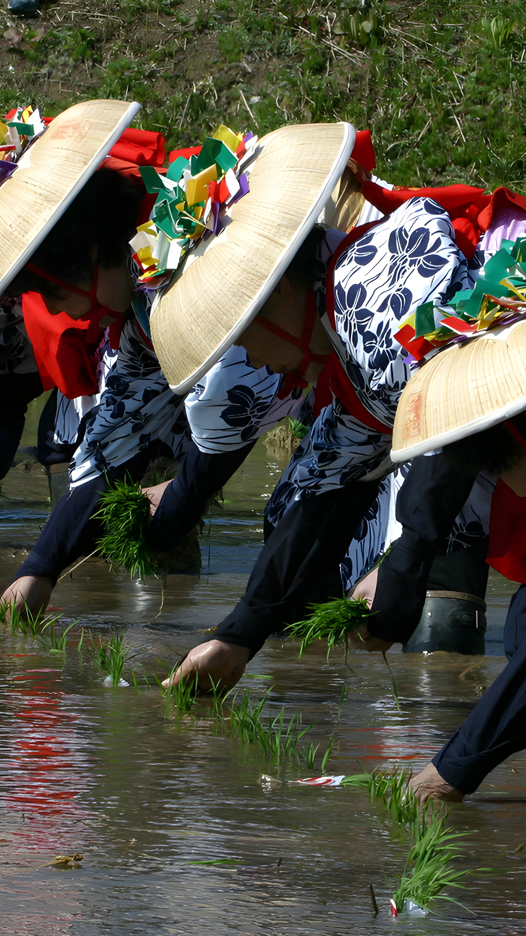 香取神宮の田植え祭, 千葉県 香取市 (© Junko Kimura/特派員/Getty Images) mobile wallpaper