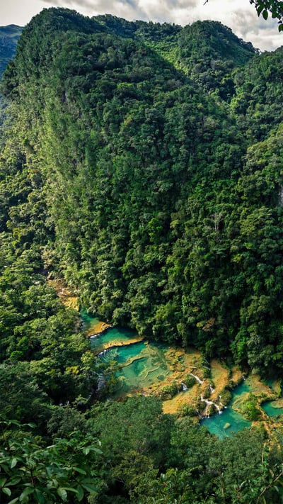 Semuc Champey, a nature park in Guatemala (© Joel Sharpe/Getty Images) mobile wallpaper