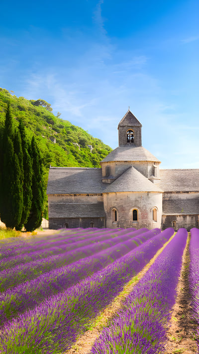 Abbaye Notre-Dame de Sénanque, Gordes, Provence (© Brzozowska/Getty Images) mobile wallpaper