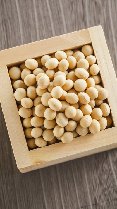 枡いっぱいの節分の福豆 (© Nishihama/Shutterstock) mobile wallpaper
