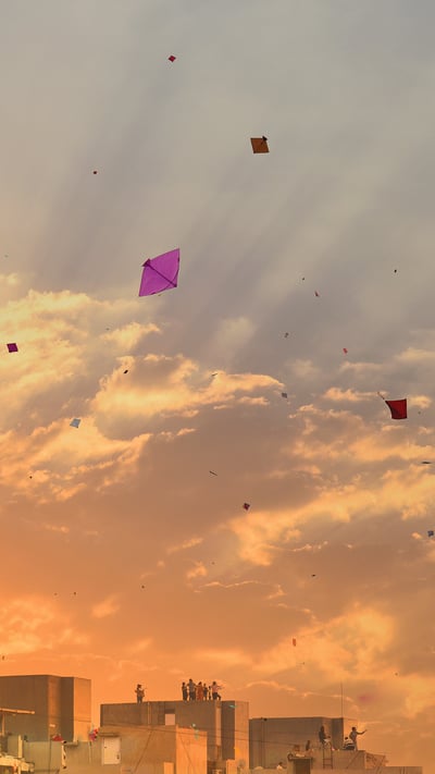 Sky full of kites (© anand purohit/Getty Images) mobile wallpaper