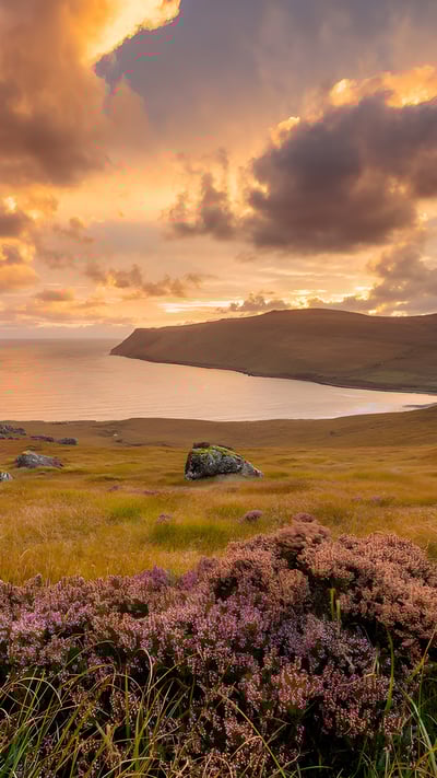 Heather growing in Glen Brittle, Isle of Skye, Scotland (© Adam Mowery/TANDEM Stills + Motion) mobile wallpaper