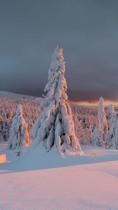 Scène hivernale dans les montagnes et soleil couchant, France (© Michal Balada/iStock/Getty Images Plus) mobile wallpaper