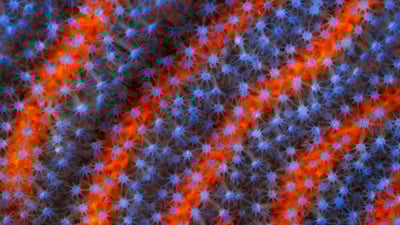 20190821