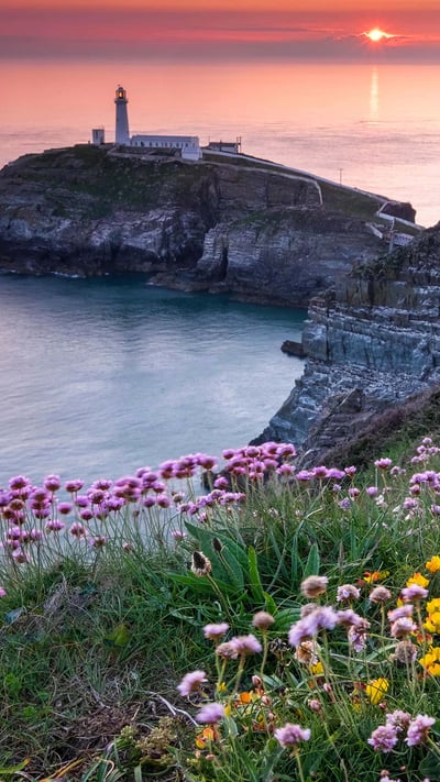 South Stack Lighthouse and coastal wildflowers at sunset, Anglesey (© Alan Novelli/Alamy Stock Photo) mobile wallpaper