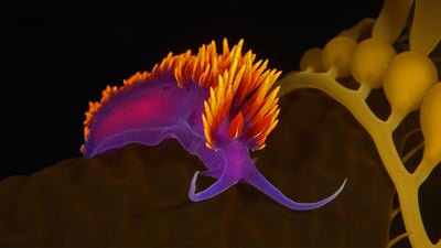 20210109
