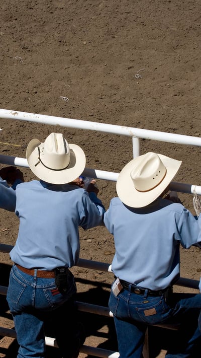 Spectators at the annual Calgary Stampede (© Pete Ryan/Getty Images) mobile wallpaper