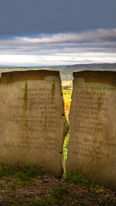 The Dew Stone, part of the Stanza Stones trail, in Yorkshire (© Rebecca Cole/Alamy) mobile wallpaper