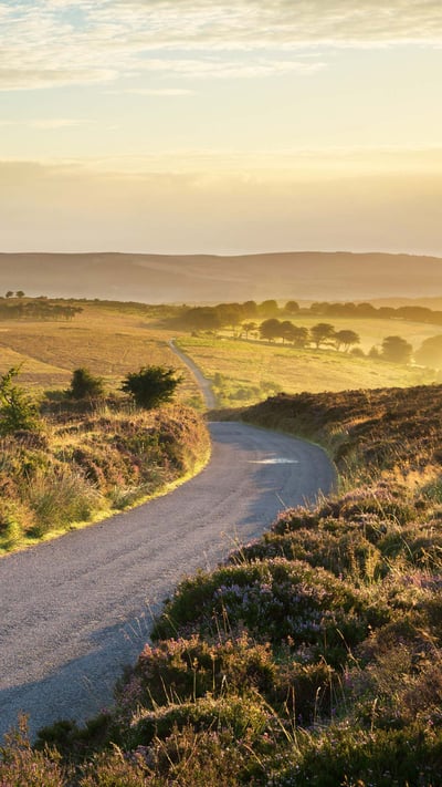 Stoke Pero Common, Exmoor-Nationalpark, England, Großbritannien (© David Noton/Alamy) mobile wallpaper