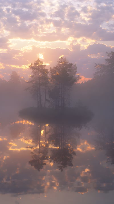 Knuthöjdsmossen, a nature reserve in Sweden (© Sven Halling/DEEPOL/plainpicture) mobile wallpaper
