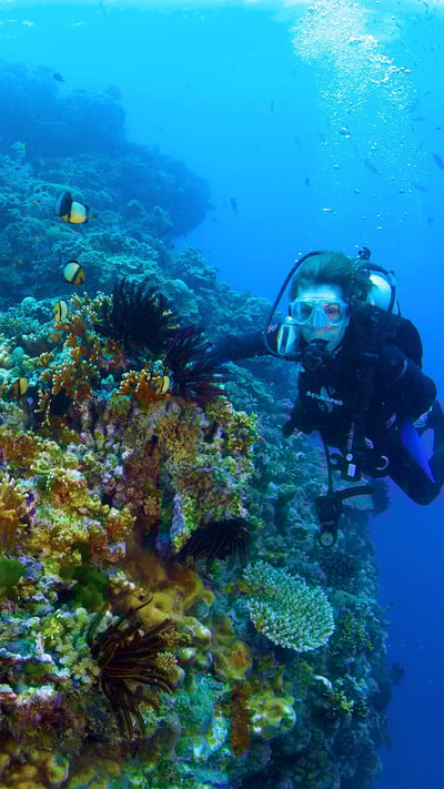 Dr. Sylvia Earle explores Australia's Great Barrier Reef in a scene from 'Mission Blue' (© Bryce Groark/AP Photo/Netflix) mobile wallpaper