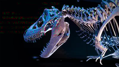 20200812