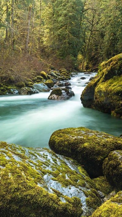 Tamihi Creek, British Columbia, Canada (© Jason Wilde/TANDEM Stills + Motion) mobile wallpaper