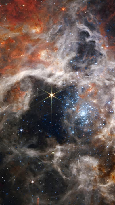 Young stars forming in the Tarantula Nebula, James Webb Space Telescope (© NASA, ESA, CSA, STScI, Webb ERO Production Team) mobile wallpaper