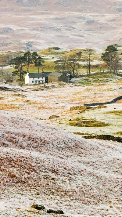 Hoar frost on vegetation near Coniston, Lake District (© Ashley Cooper/Getty Images) mobile wallpaper
