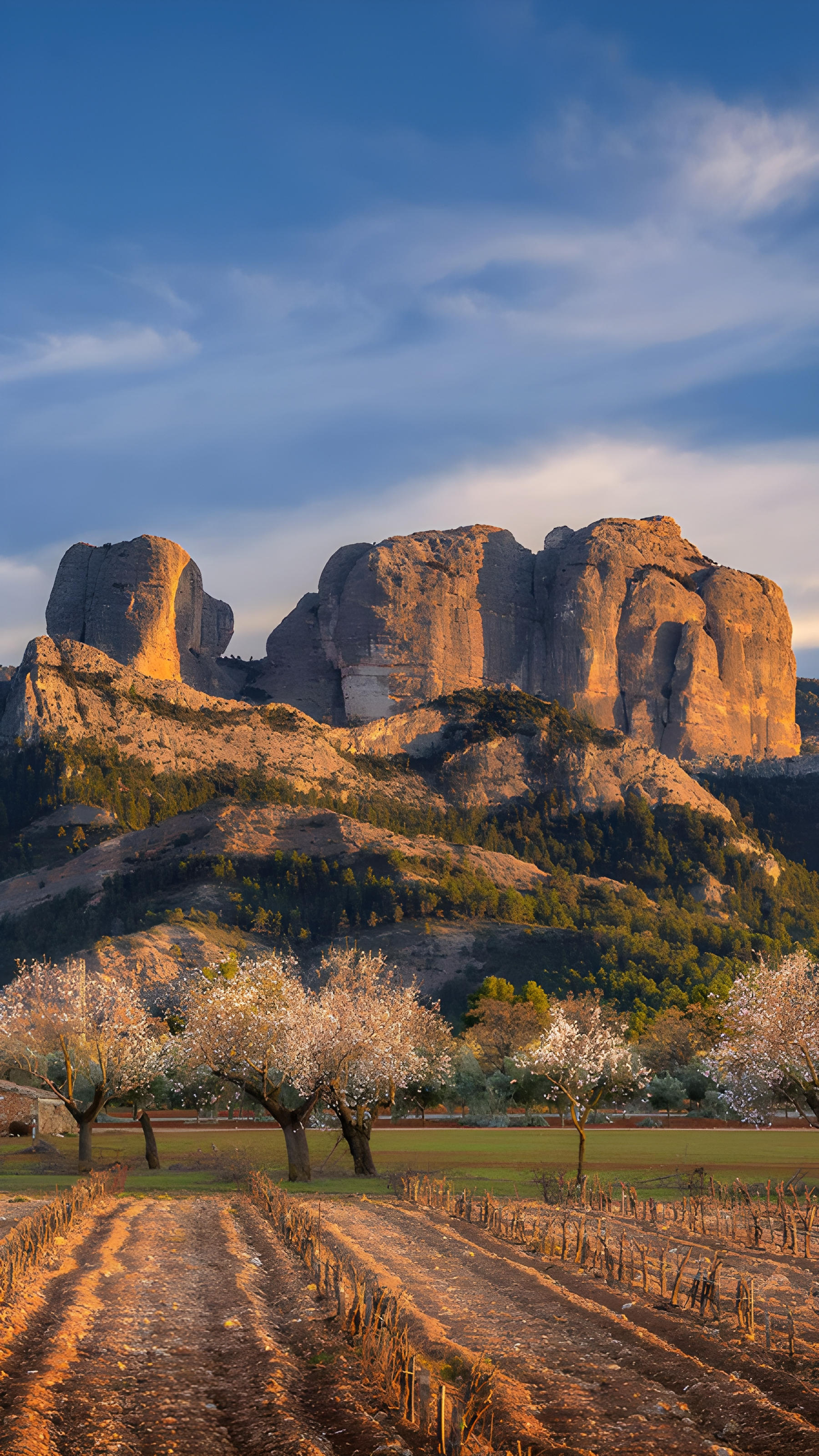 Roques de Benet, Els Ports Natural Park, Catalonia, Spain (© Sergi Boixader/Alamy) mobile wallpaper
