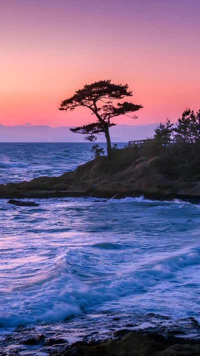 Parc de Tateishi, préfecture de Kanagawa, Japon (© blew_s/Shutterstock) mobile wallpaper