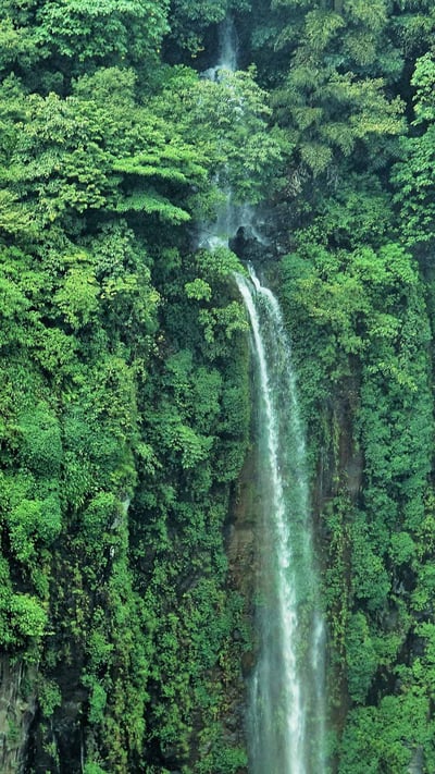 托塞加尔瀑布,印度马哈拉施特拉邦 (© Sonali Kumar/iStock/Getty Images Plus) mobile wallpaper