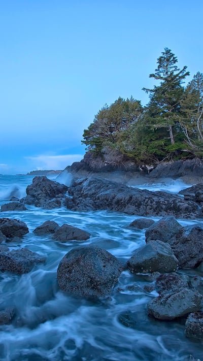 Shoreline near Tofino on Vancouver Island, British Columbia, Canada (© Robert Postma/plainpicture) mobile wallpaper