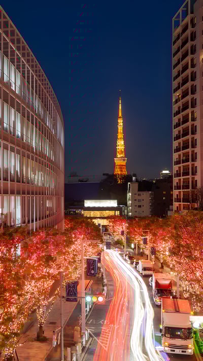 けやき坂のイルミネーション, 東京 (© Photography by ZhangXun/Getty Images) mobile wallpaper